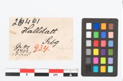 Etikett zu Bronzekahnfibel (NHMW-PRAE-026461)